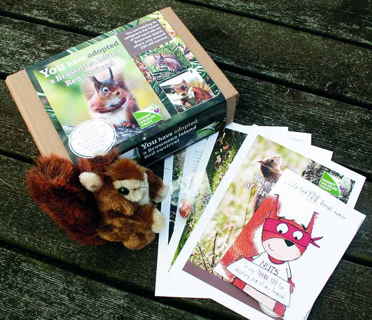 Adopt a Red Squirrel