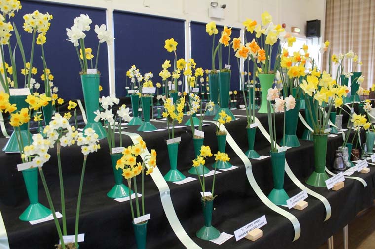 Dorset Agricultural Society to host annual Spring Show