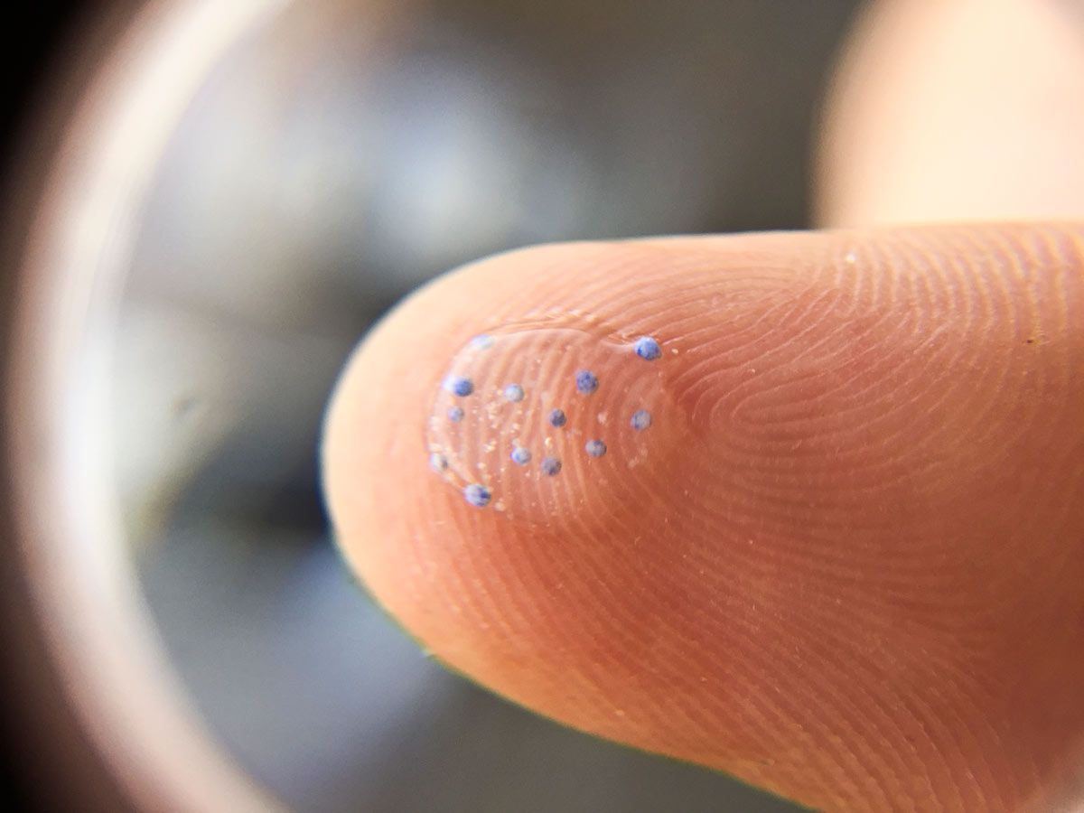 Close up of microbeads found in cosmetic and household products © MPCA.
