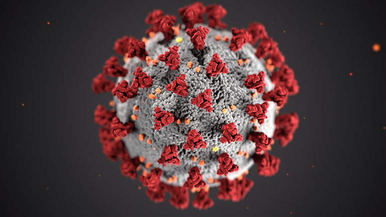 Coronavirus Photo by CDC on Unsplash