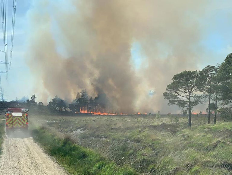 Forest fire in Wareham Forest this week: over 50 firefighters are still on site as multiple hotspots remain © DWFRS