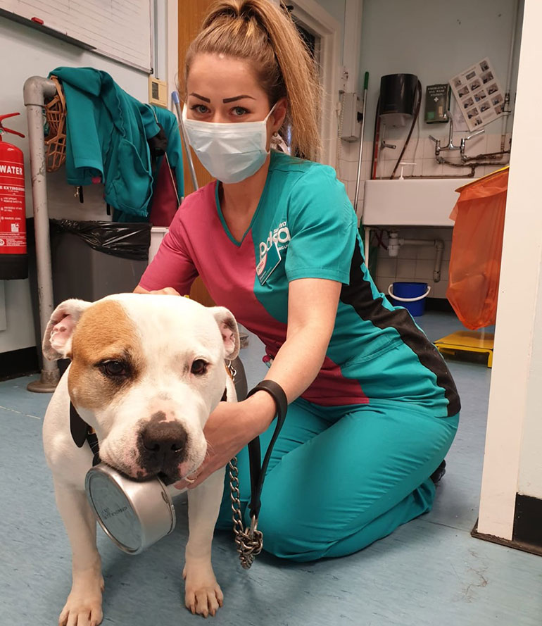 Bonnie needed urgent treatment at the PDSA Pet Hospital