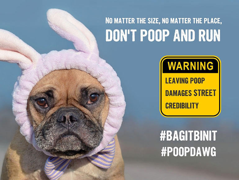 Don't Poop and Run Litter Free Dorset
