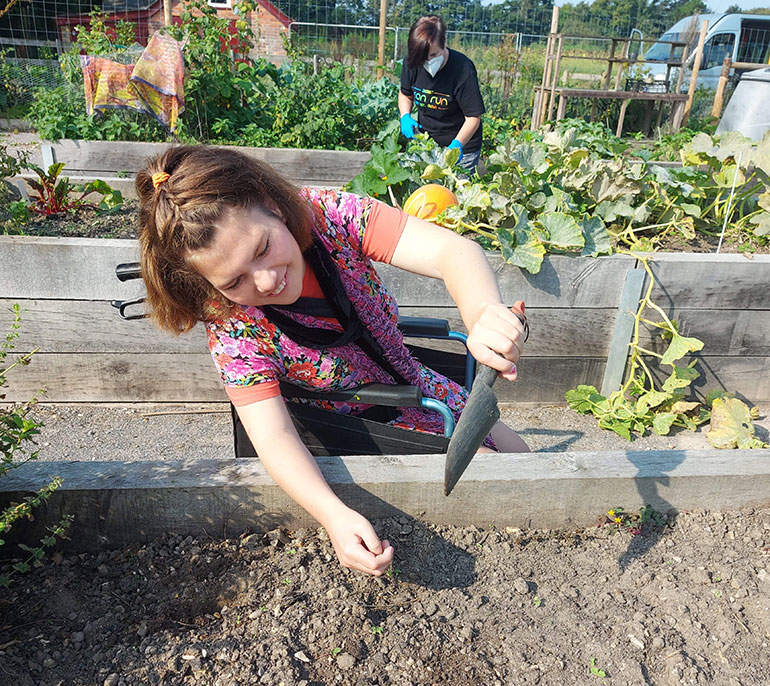 Planting-seeds-at-the-allotment
