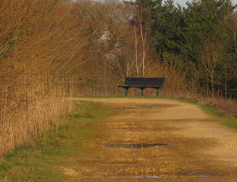 Somewhere to rest: Longham Lakes