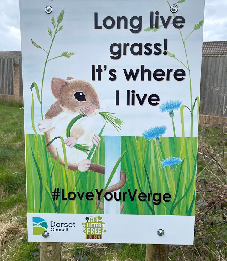 Get involved with #LoveYourVerge a community campaign to reduce litter across Dorset