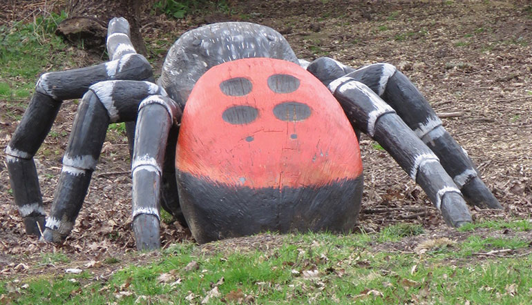 RSPB-Arne-spider