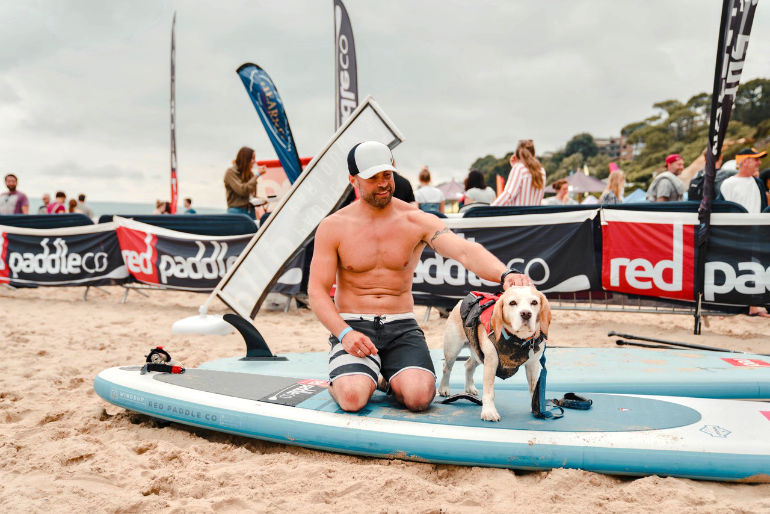 Triumphant: Bear the Beagle with his owner James