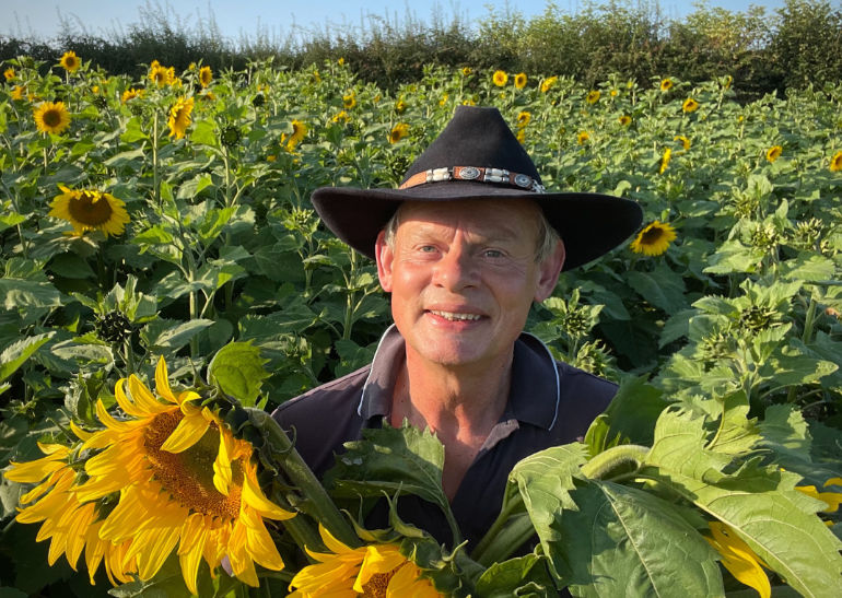Martin Clunes in his sunflower field