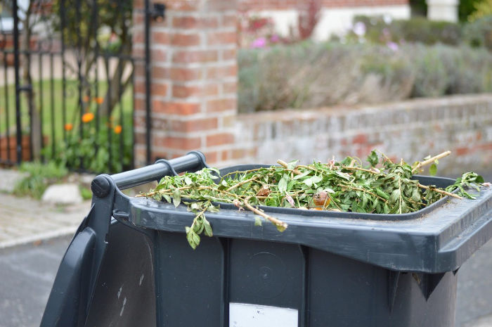 Sign up for garden waste collection in BCP Council area