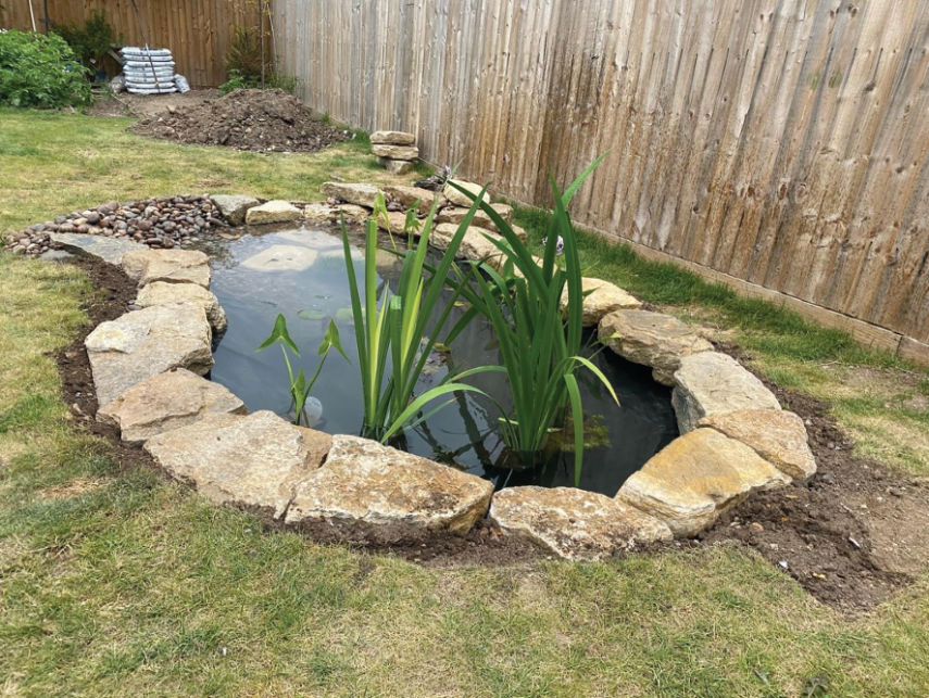 Recently designed wildlife pond