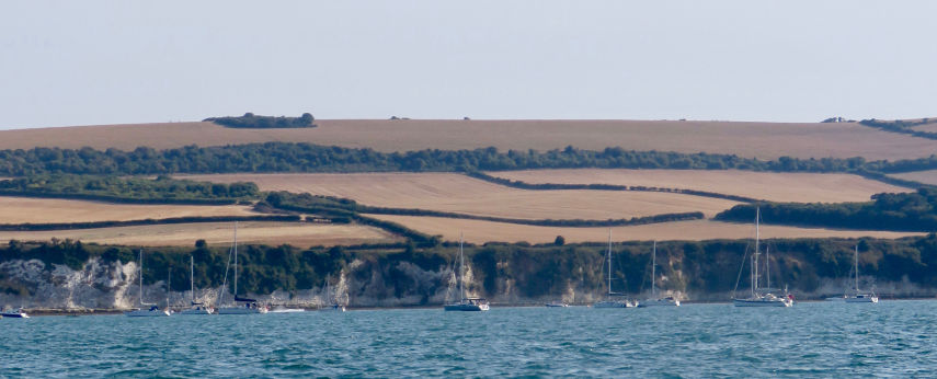 Sweeping hedgerows across the Dorset countryside viewed from Studland ©CatchBox 2022