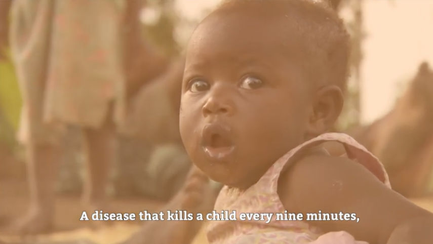 Problem Child Rabies Rabies prevention success for Cranborne charity