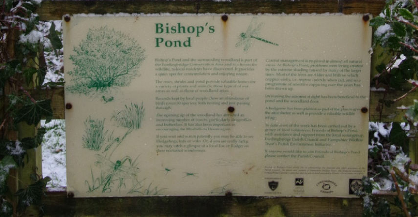 Bishops Pond