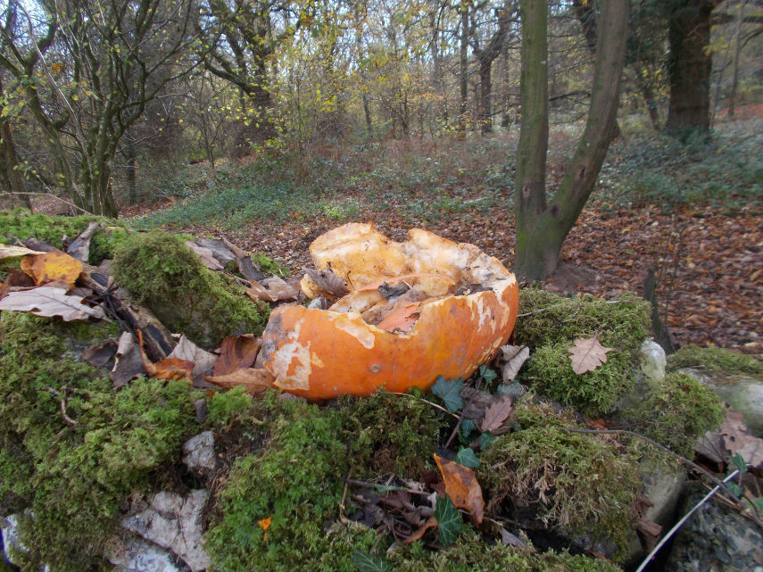 pumpkin dumping