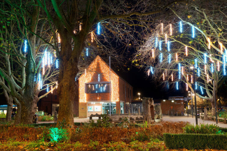Ringwood Archives Dorset View