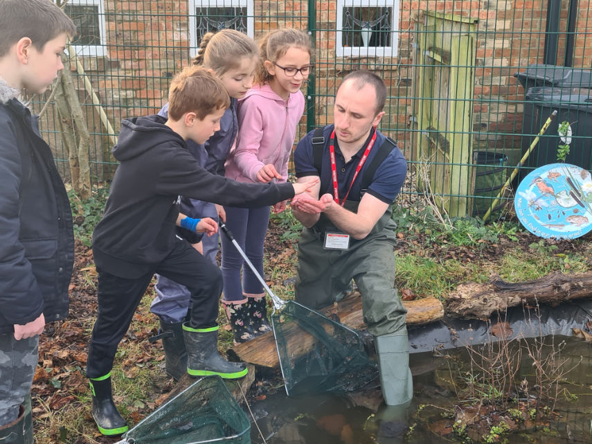 BU PhD Freshwater Ecology student showing pupils at St Luke's a newt