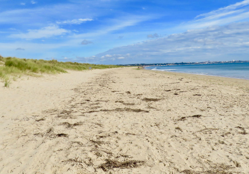 Stunning beach at Studland could be affected by oil spillage