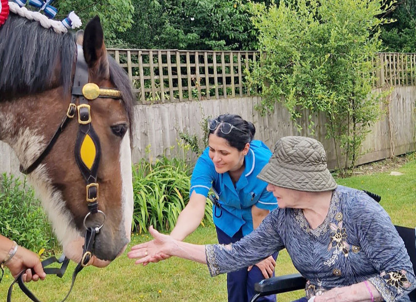 Supreme Champion Shire horse visits Care South's Elizabeth House care home in Dorset