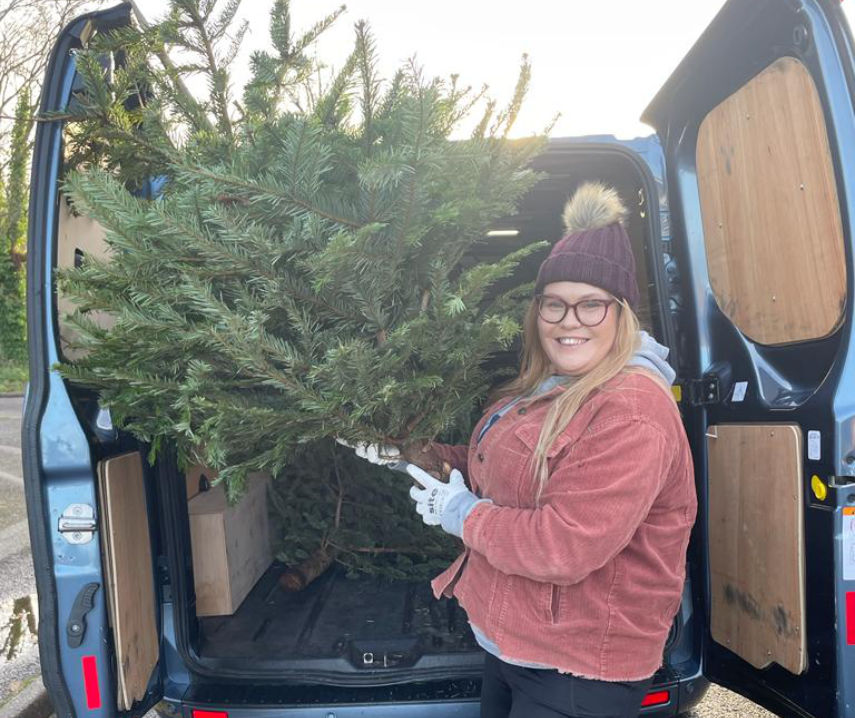 Volunteers wanted to help with Christmas tree recycling